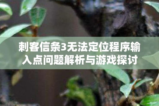 刺客信条3无法定位程序输入点问题解析与游戏探讨图片