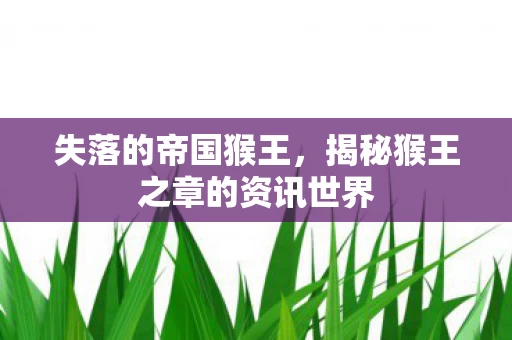 揭秘猴王之章的资讯世界图片