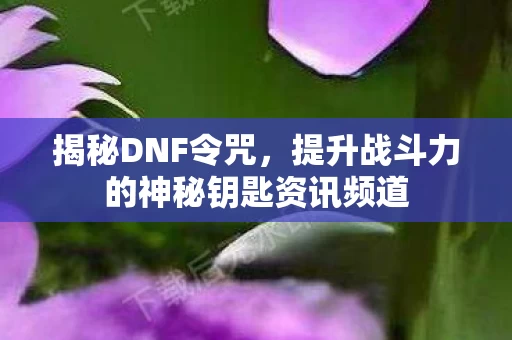 提升战斗力的神秘钥匙资讯频道图片