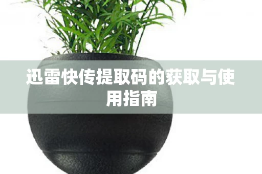 迅雷快传提取码的获取与使用指南图片