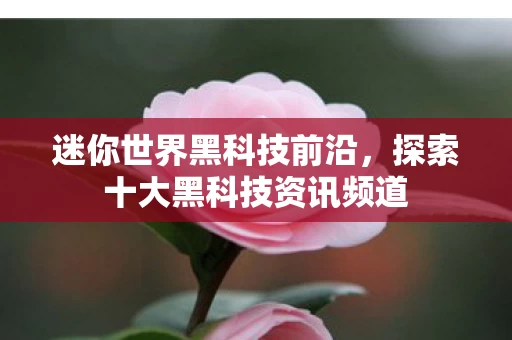 探索十大黑科技资讯频道图片