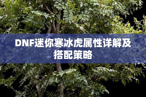 DNF迷你寒冰虎属性详解及搭配策略图片