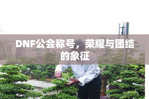 荣耀与团结的象征图片