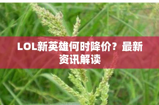 LOL新英雄何时降价图片