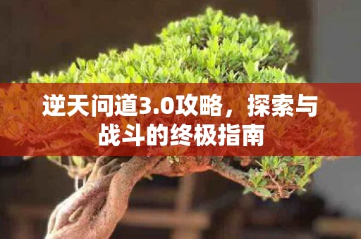 探索与战斗的终极指南图片
