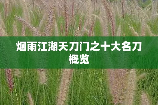 烟雨江湖天刀门之十大名刀概览图片