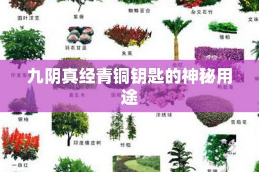 九阴真经青铜钥匙的神秘用途图片