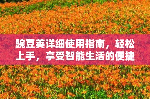 豌豆荚详细使用指南图片