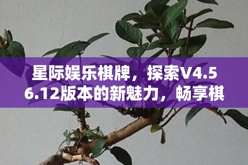 畅享棋牌娱乐的无限乐趣图片