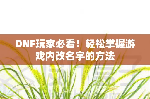 轻松掌握游戏内改名字的方法图片