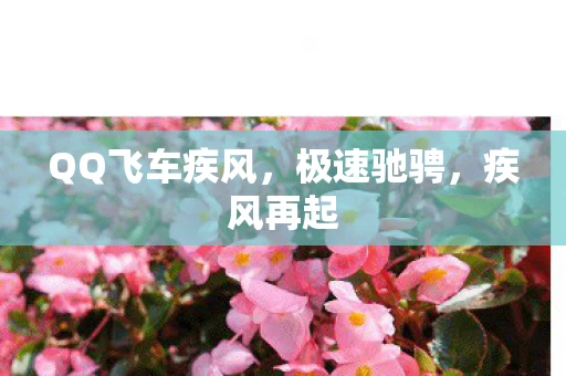 QQ飞车疾风图片