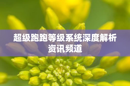 超级跑跑等级系统深度解析资讯频道图片