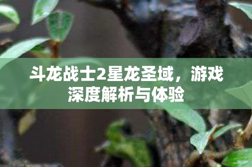 斗龙战士2星龙圣域,游戏深度解析与体验 斗龙战士2星龙圣域,游戏深度解析与体验