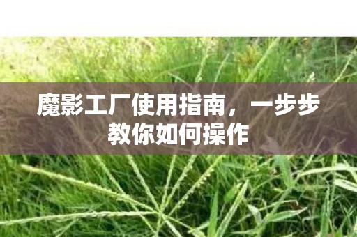 一步步教你如何操作图片