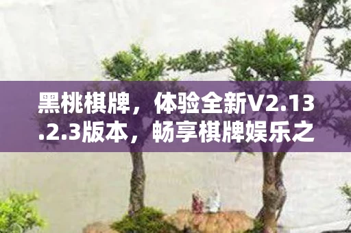 畅享棋牌娱乐之旅图片
