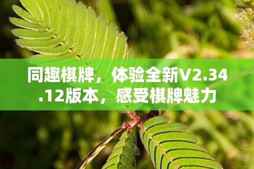 体验全新V2图片