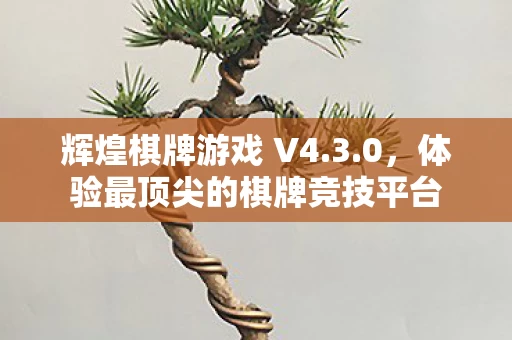 体验最顶尖的棋牌竞技平台图片
