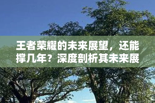 王者荣耀的未来展望图片