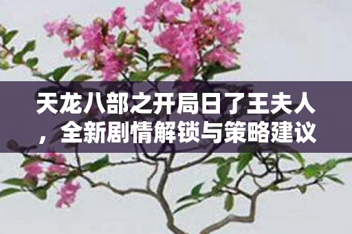 天龙八部之开局日了王夫人图片