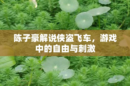 陈子豪解说侠盗飞车图片