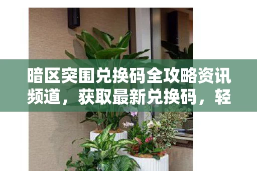 暗区突围兑换码全攻略资讯频道图片