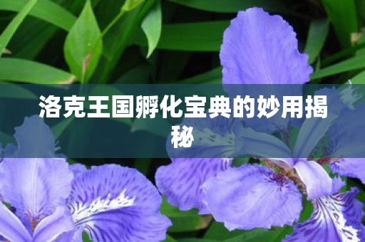 洛克王国孵化宝典的妙用揭秘图片