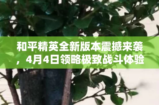 和平精英全新版本震撼来袭图片