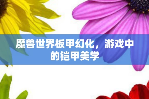 魔兽世界板甲幻化图片