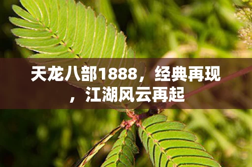 天龙八部1888图片