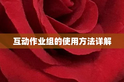 互动作业组的使用方法详解图片