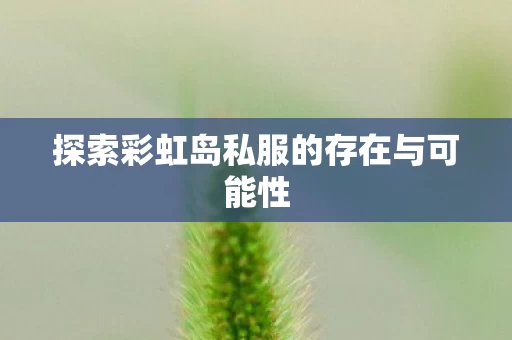 探索彩虹岛私服的存在与可能性图片