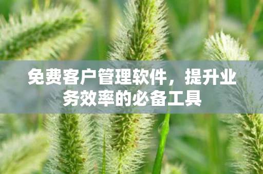 提升业务效率的必备工具图片