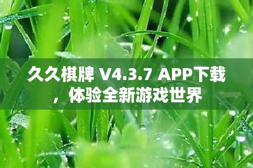 体验全新游戏世界图片