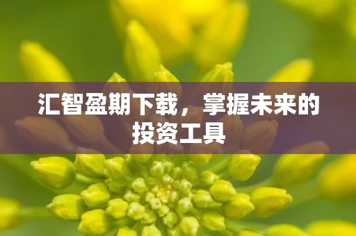 掌握未来的投资工具图片