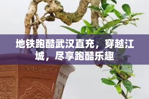 地铁跑酷武汉直充图片