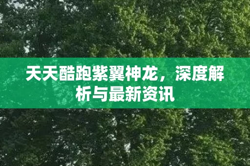 深度解析与最新资讯图片