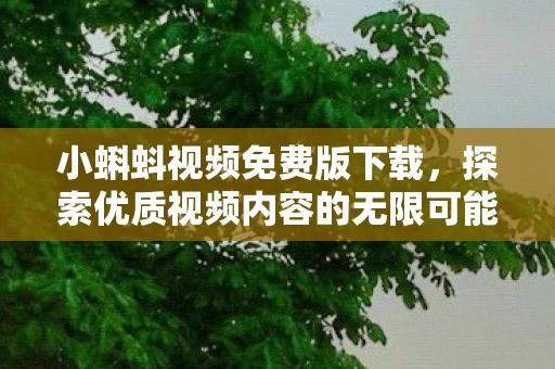 探索优质视频内容的无限可能图片