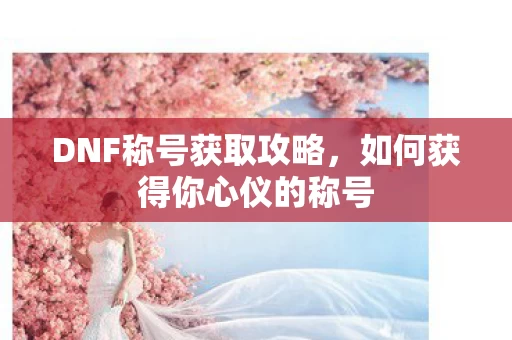 如何获得你心仪的称号图片