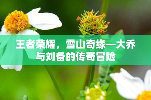 大乔与刘备的传奇冒险图片