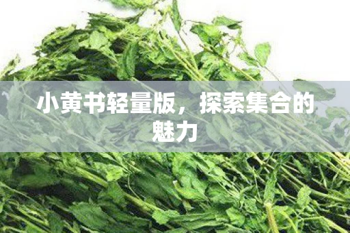 探索集合的魅力图片