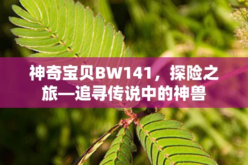 神奇宝贝BW141图片