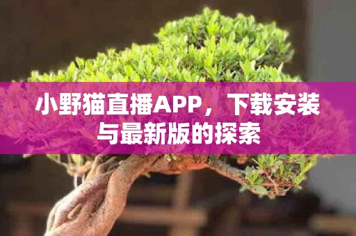 下载安装与最新版的探索图片