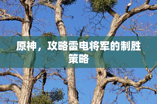 攻略雷电将军的制胜策略图片