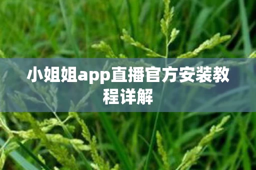 小姐姐app直播官方安装教程详解图片