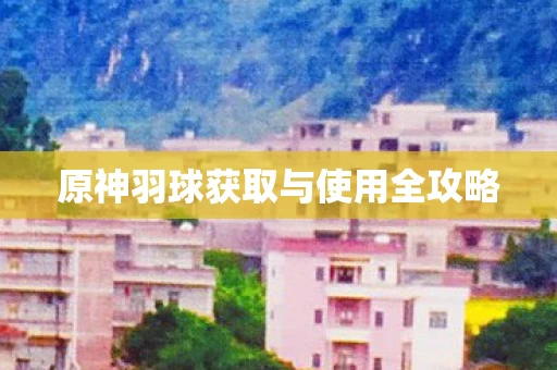 原神羽球获取与使用全攻略图片