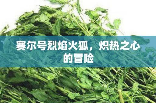 赛尔号烈焰火狐图片