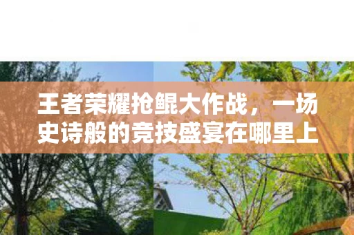 一场史诗般的竞技盛宴在哪里上演图片