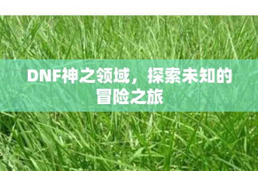 探索未知的冒险之旅图片