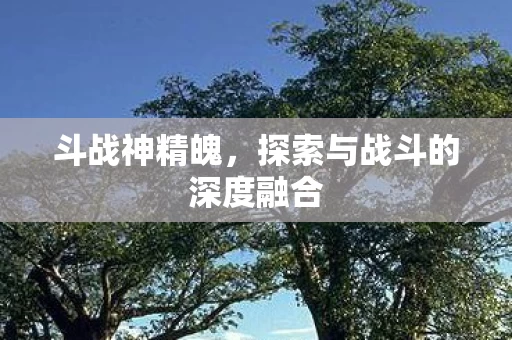 探索与战斗的深度融合图片