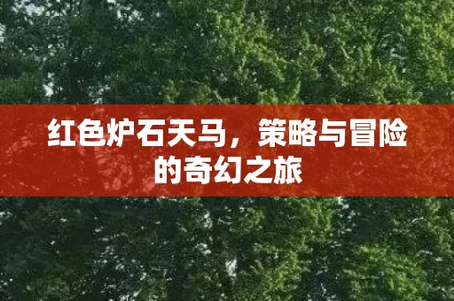 策略与冒险的奇幻之旅图片